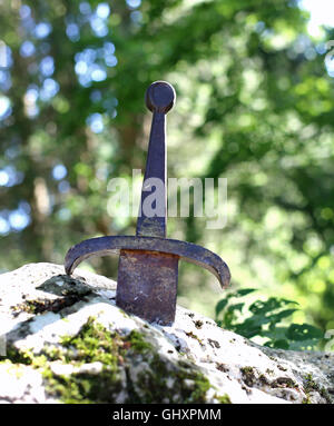 Excalibur the famous sword in the stone of king Arthur in the forest ...