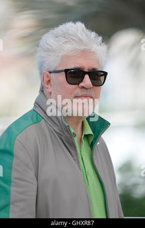69th Cannes Film Festival: Pedro Almodovar posing during a photocall for the film 'Julieta' (2016/05/17) Stock Photo