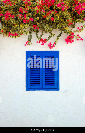 blue shutters on white washed house wall Stock Photo