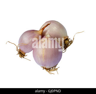 shallots isolated on white background Stock Photo