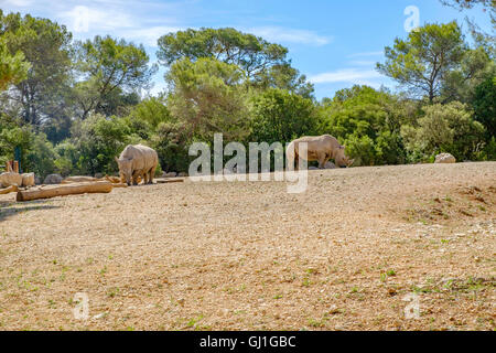 Montpellier Zoological Park Stock Photo