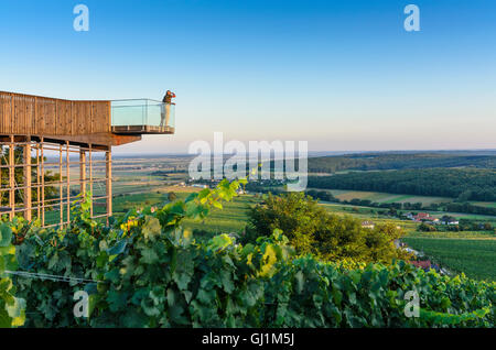 Deutsch Schützen-Eisenberg: ökoEnergieland wine view overlooking vineyards and village Eisenberg, vineyard, Austria, Burgenland, Stock Photo