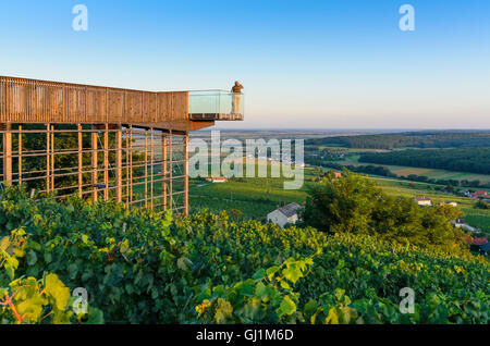 Deutsch Schützen-Eisenberg: ökoEnergieland wine view overlooking vineyards and village Eisenberg, vineyard, Austria, Burgenland, Stock Photo