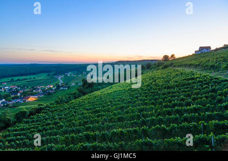 Deutsch Schützen-Eisenberg: Hill Eisenberg with vineyard at sunset, Austria, Burgenland, Stock Photo