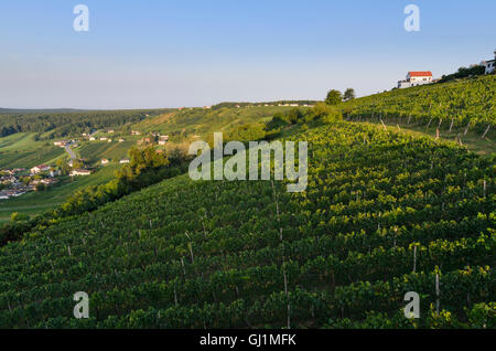 Deutsch Schützen-Eisenberg: Hill Eisenberg with vineyard, vineyards, Austria, Burgenland, Stock Photo