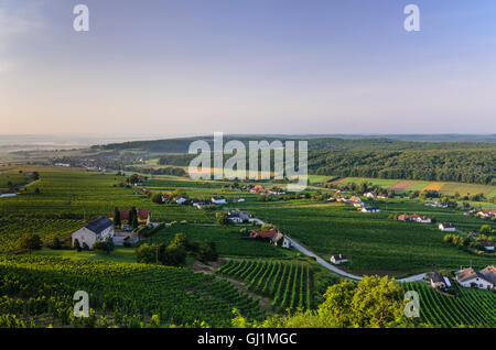 Deutsch Schützen-Eisenberg: Hill Eisenberg with vineyard, vineyards, Austria, Burgenland, Stock Photo