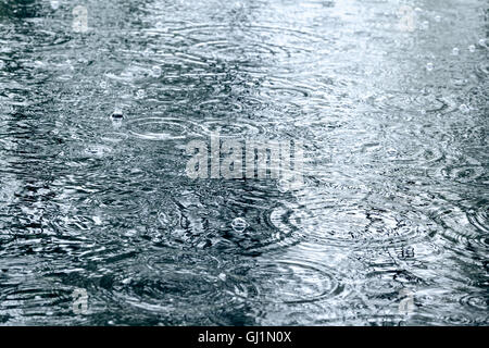 rainy background with raindrops and water circles on pavement Stock Photo