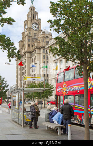 City Explorer, Sightseeing buses outside the Three Graces, Pierhead, waterfront, Liverpool, Merseyside, UK Stock Photo
