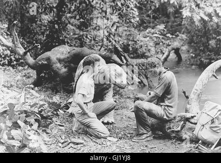 DAS DINOSAURIER-BABY - DAS GEHEIMNIS EINER VERLORENEN LEGENDE- Das Forscherehepaar Susan Matthews-Loomis (SEAN YOUNG) und George Loomis (WILLIAM KATT) hat im afrikanischen Urwald einen Brontosaurier und sein Junges entdeckt. Doch auch Gangster sind hinter dem einmaligen Fund her. Die Forscher machen sich daran das Dinobaby zu retten... Regie: B. W. L. Norton aka. Baby - The Secret Of The Lost Legend Stock Photo