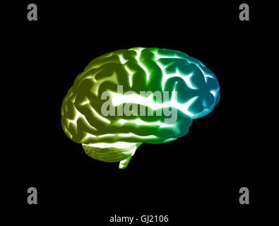 Active brain in different colors Stock Photo