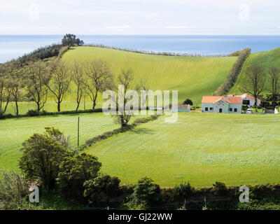 Hay fields and farmland in Sao Miguel. Rolling hills with the sea behind are typical of the fertile farmland on this green isle Stock Photo