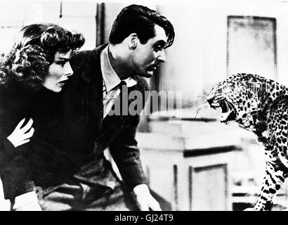 LEOPARDEN KÜSST MAN NICHT Bringing up Baby USA 1938 - Howard Hawks Hat er etwa schlechte Laune? Für Susan (KATHARINE HEPBURN) und David (CARY GRANT) steht fest, Leoparden küsst man nicht. Regie: Howard Hawks aka. Bringing Up Baby Stock Photo