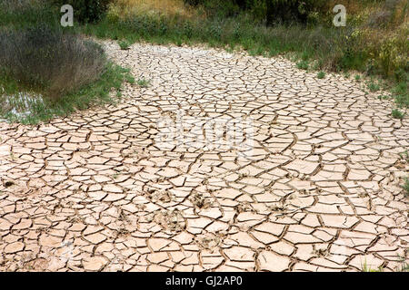 Dried out creek bed in an arid area of sparse rainfall and drought sticken earth due to climate change. Stock Photo