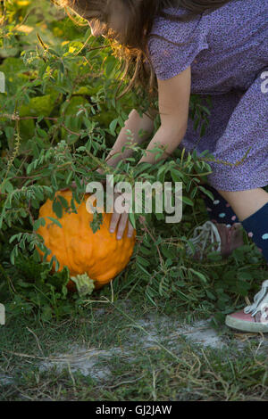 Girl in pumpkin patch Stock Photo - Alamy