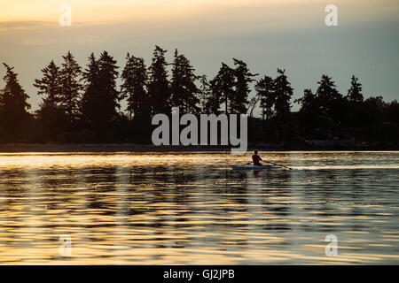 Silhouetted man rowing single scull on Puget Sound, Winslow, Bainbridge Island, Washington State, USA Stock Photo