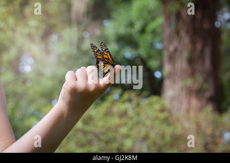 Girls holding monarch butterfly on finger Stock Photo