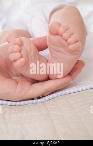 Mothers hand holding baby boys feet Stock Photo