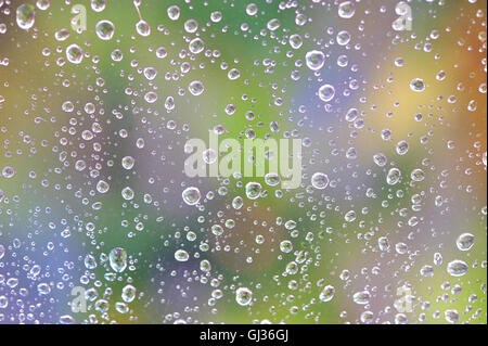 Water drops on glass window with nature in background Stock Photo