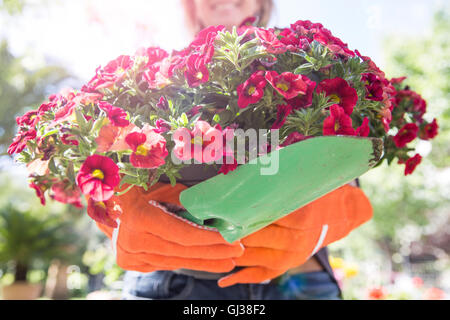 Woman carrying pink flowering plant in garden Stock Photo