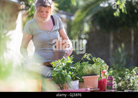 Woman tending plants in garden Stock Photo