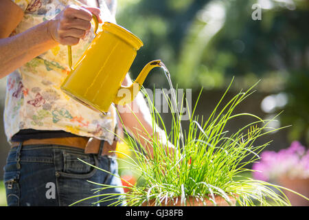Cropped view of woman watering plants in garden Stock Photo
