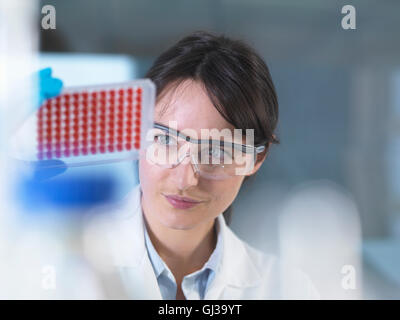 Scientist preparing blood samples for clinical testing in laboratory Stock Photo