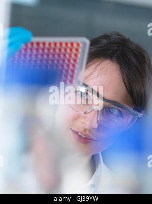 Scientist preparing blood samples for clinical testing in laboratory Stock Photo