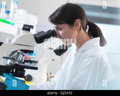 Scientist viewing human tissue sample on microscope in laboratory Stock Photo