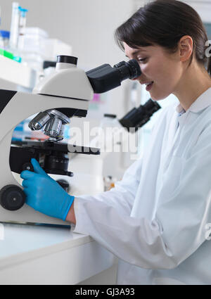 Scientist viewing human tissue sample on microscope in laboratory Stock Photo