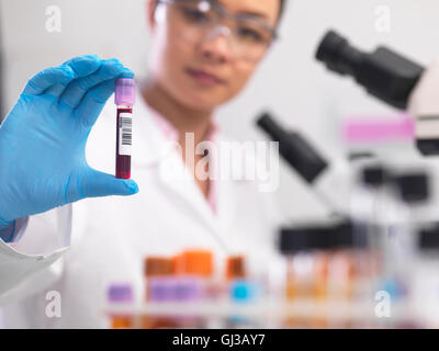 Scientist preparing clinical samples for medical testing in a laboratory Stock Photo