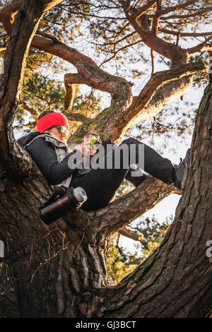 Woman relaxing and using mobile phone on treetop, Augsburg, Bavaria, Germany Stock Photo