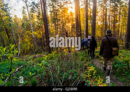 Hikers crossing forest at sunset Stock Photo