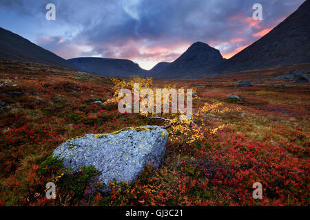 Autumn colours and boulder in Malaya Belaya River valley at dusk, Khibiny mountains, Kola Peninsula, Russia