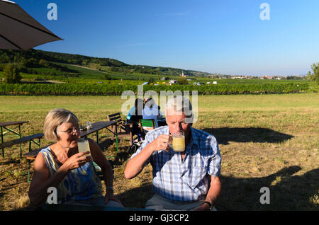 Gumpoldskirchen: retired couple drinking young wine ( Storm ) at a wine festival in vineyard, vineyards, Austria, Niederösterrei Stock Photo