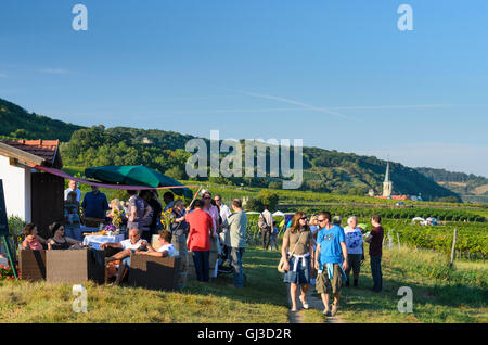 Gumpoldskirchen: Wine Festival in the vineyards, overlooking the German Order Castle, vineyard, people, Austria, Niederösterreic Stock Photo