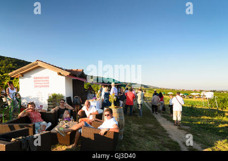 Gumpoldskirchen: Wine Festival in the vineyards, people, vineyard, Austria, Niederösterreich, Lower Austria, Wienerwald, Vienna Stock Photo