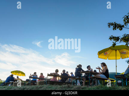 Gumpoldskirchen: Wine Festival in the vineyards, people, vineyard, Austria, Niederösterreich, Lower Austria, Wienerwald, Vienna Stock Photo