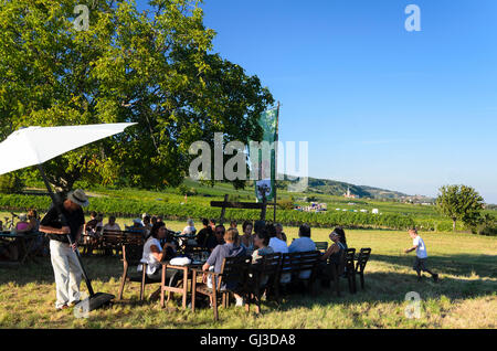 Gumpoldskirchen: Wine Festival in the vineyard, vineyards, Austria, Niederösterreich, Lower Austria, Wienerwald, Vienna Woods Stock Photo
