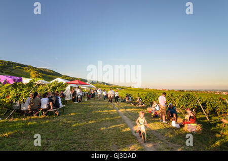 Gumpoldskirchen: Wine Festival in the vineyards, people, vineyard, Austria, Niederösterreich, Lower Austria, Wienerwald, Vienna Stock Photo