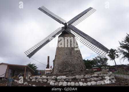 Morgan Lewis Windmill sugar mill undergoing restoration, St Andrew, Barbados Stock Photo