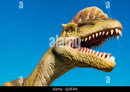 NOVI SAD, SERBIA - AUGUST 7, 2016: Dilophosaurus life size model of prehistoric animal in theme entertainment Dino Park. Stock Photo