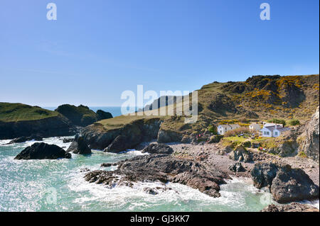 Kynance Cove, The Lizard, Cornwall, England, UK Stock Photo