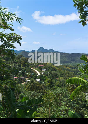 dh Roseau Valley ST LUCIA CARIBBEAN Valley of Banana plantations scenery view plantation Stock Photo