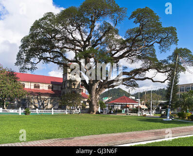 dh Castries ST LUCIA CARIBBEAN Derek Walcott Square gardens old tree park Stock Photo