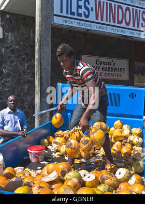 dh Kingstown ST VINCENT CARIBBEAN Caribbean coconut seller lorry load of coconuts Stock Photo