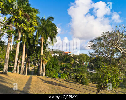 dh Scarborough TRINIDAD TOBAGO CARIBBEAN Caribbean Botanical Gardens path tall palm trees Stock Photo