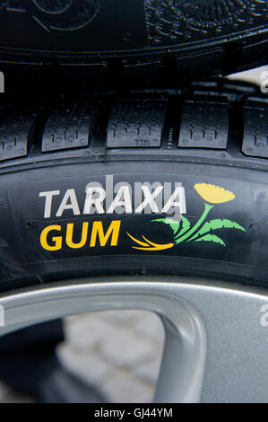 Anklam, Germany. 12th Aug, 2016. A car tire of the auto supplier Continental bears the lettering 'Taraxa Gum' in Anklam, Germany, 12 August 2016. At the press conference in Anklam the car tire of the auto supplier Continental bears the lettering 'Taraxa Gum'. The tread of the tire natural rubber is processed from dandelion. The tire manufacturer Continental built in the city of Greifswald a research and development site to attract natural rubber from dandelions. Photo: STEFAN SAUER/dpa/Alamy Live News Stock Photo