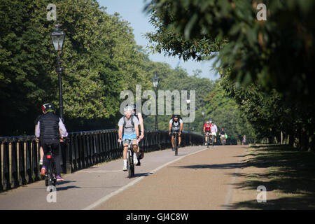 London, UK. 12th Aug, 2016. Cyclists commuting to work through Hyde Park in London Credit:  Roger Garfield/Alamy Live News Stock Photo