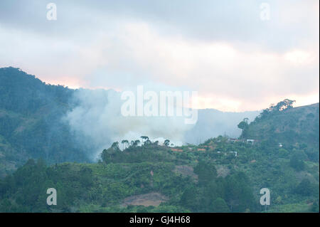 Smoke above Rainforest Madagascar Stock Photo