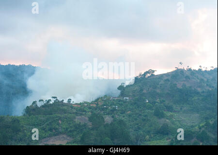 Smoke above Rainforest Madagascar Stock Photo